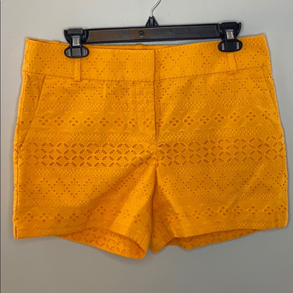 NWT - LOFT Rivera Short